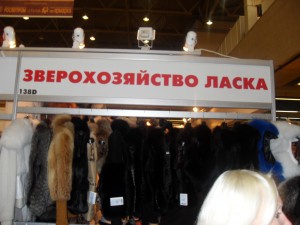SDC13129 SDC13129