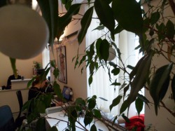 SAM_0254
