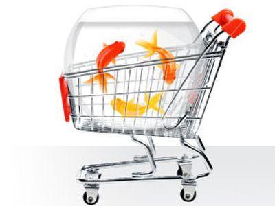 Сертификация интернет-магазинов_2
