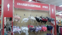img-Владимир